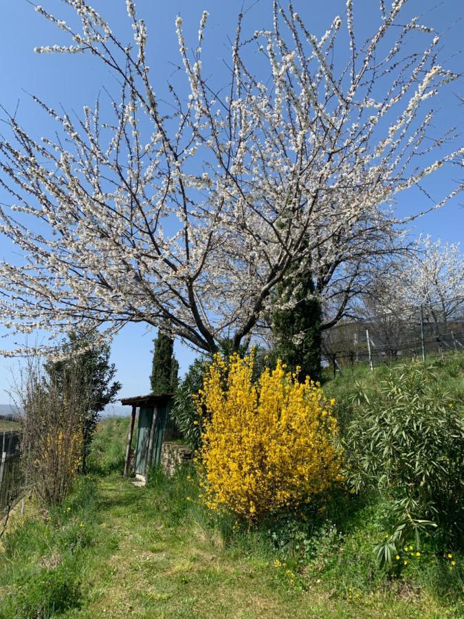 Appartamento Tiemi Coldrerio المظهر الخارجي الصورة